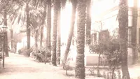 Picture 35 of 85 from [Album of Egyptian and Turkish photographs. Volume 2 / assembled by Rudolf H. and Lulu Reinhart in 1906 on their wedding trip] (1906), leaf 38