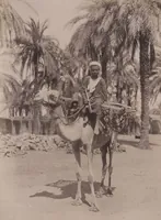 Picture 45 of 85 from [Album of Egyptian and Turkish photographs. Volume 2 / assembled by Rudolf H. and Lulu Reinhart in 1906 on their wedding trip] (1906), leaf 51