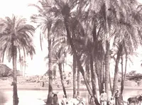 Picture 50 of 85 from [Album of Egyptian and Turkish photographs. Volume 2 / assembled by Rudolf H. and Lulu Reinhart in 1906 on their wedding trip] (1906), leaf 55