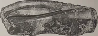 An illustration from The Bishop collection : investigations and studies in jade : [volume one] (1906)