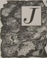 Picture 43 of 124 from The Bishop collection : investigations and studies in jade : [volume one] (1906), leaf 163