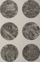 An illustration from The Bishop collection : investigations and studies in jade : [volume one] (1906)