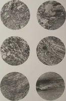 An illustration from The Bishop collection : investigations and studies in jade : [volume one] (1906)