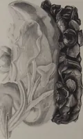 Picture 81 of 124 from The Bishop collection : investigations and studies in jade : [volume one] (1906), leaf 372