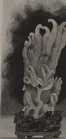 Picture 104 of 124 from The Bishop collection : investigations and studies in jade : [volume one] (1906), leaf 429