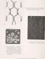 Picture 34 of 34 from Antique laces of American collectors : Volume 2 / text by Frances Morris & Marian Hague (1920), leaf 164