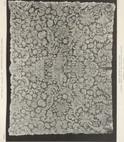 Picture 94 of 103 from Antique laces of American collectors : Volume 1 / text by Frances Morris & Marian Hague (1920), leaf 116