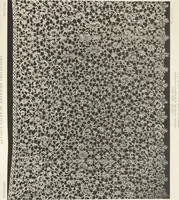 Picture 44 of 103 from Antique laces of American collectors : Volume 1 / text by Frances Morris & Marian Hague (1920), leaf 63