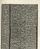 An illustration from Antique laces of American collectors : Volume 1 / text by Frances Morris & Marian Hague (1920)