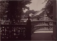 Picture 31 of 39 from "Bay Villa", the residence, on Staten Island, of Anson Phelps Stokes / photographs taken and assembled by the family (1880), leaf 41