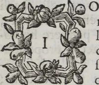 An illustration from Capitoli dell'Accademia della pittura aperta dalla magnifica città di Verona l'anno MDCCLXVI (1766)