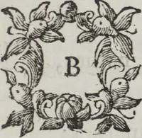 Picture 5 of 5 from Capitoli dell'Accademia della pittura aperta dalla magnifica città di Verona l'anno MDCCLXVI (1766), leaf 47