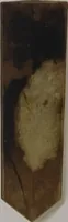 An illustration from The Bishop collection : investigations and studies in jade : [volume two] (1906)