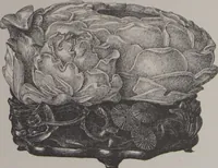 Picture 53 of 193 from The Bishop collection : investigations and studies in jade : [volume two] (1906), leaf 167