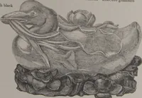 Picture 83 of 193 from The Bishop collection : investigations and studies in jade : [volume two] (1906), leaf 199