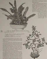 Picture 180 of 193 from The Bishop collection : investigations and studies in jade : [volume two] (1906), leaf 297