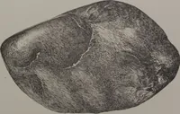 An illustration from The Bishop collection : investigations and studies in jade : [volume two] (1906)
