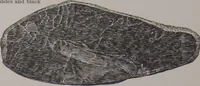 Picture 7 of 193 from The Bishop collection : investigations and studies in jade : [volume two] (1906), leaf 54
