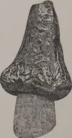Picture 13 of 193 from The Bishop collection : investigations and studies in jade : [volume two] (1906), leaf 72