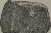 An illustration from The Bishop collection : investigations and studies in jade : [volume two] (1906)