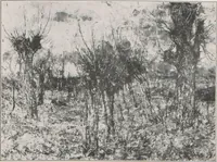 An illustration from Christian Rohlfs : fünftes Buch der Galerie Goyert, Köln a. Rhein (1921)