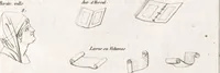 Picture 22 of 63 from Recherches sur les costumes, les moeurs, les usages religieux, civils et militaires des anciens peuples : [Volume 2] / par J. Mailliot, ... publié par P. Martin (1809), leaf 267