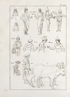 Picture 46 of 63 from Recherches sur les costumes, les moeurs, les usages religieux, civils et militaires des anciens peuples : [Volume 2] / par J. Mailliot, ... publié par P. Martin (1809), leaf 560