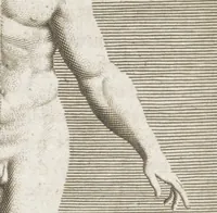 An illustration from Natuurlyk en schilderkonstig ontwerp der menschkunde leerende niet alleen de kennis van de gestalte, proportie, schoonheyd, muskelen, bewegingen, actien, passien, en welstand der menschbeelden : tot de teykenkunde, schilderkunde, beeldhouwery, bootseer en giet-oeffening toepassen : maar ook hoe sich een mensch na deselve regelen ... / door W. Goeree (1682)