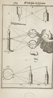 An illustration from Natuurlyk en schilderkonstig ontwerp der menschkunde leerende niet alleen de kennis van de gestalte, proportie, schoonheyd, muskelen, bewegingen, actien, passien, en welstand der menschbeelden : tot de teykenkunde, schilderkunde, beeldhouwery, bootseer en giet-oeffening toepassen : maar ook hoe sich een mensch na deselve regelen ... / door W. Goeree (1682)