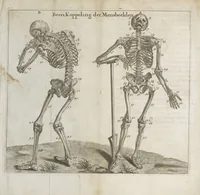 An illustration from Natuurlyk en schilderkonstig ontwerp der menschkunde leerende niet alleen de kennis van de gestalte, proportie, schoonheyd, muskelen, bewegingen, actien, passien, en welstand der menschbeelden : tot de teykenkunde, schilderkunde, beeldhouwery, bootseer en giet-oeffening toepassen : maar ook hoe sich een mensch na deselve regelen ... / door W. Goeree (1682)