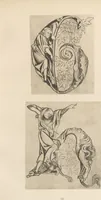 Picture 8 of 18 from Gothic alphabets / the text by Jaro Springer (1897), leaf 15