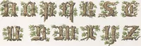 Picture 3 of 34 from Dondorf's Alphabete : eine Sammlung von Musterblättern der verschiedensten Schriftarten älterer und neuerer Zeit ... / [zusammengestellt von Fr. Christmann] (1873), leaf 19