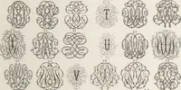 Picture 34 of 37 from Álbum graphique : recueil d'alphabets français, étrangers et ornés, couronnes, armes, supports, chiffres entrelacés et ornés : [volume 1] / monogrammes tires d'anciens manuscrits et composés par J. Girault (1870), leaf 73