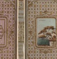 An illustration from Le Docteur Morizot, ou Mémoires du Baron de Lascy (1854)
