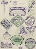 Picture 16 of 22 from Der Moderne Merkantil-Lithograph : eine Sammlung merkantiler Arbeiten / hrsg. von Steinbach & Strache (1901), leaf 14