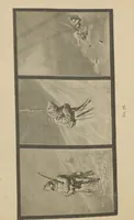 Picture 20 of 27 from Exhibition of the works of Vassili Verestchagin : illustrated descriptive catalogue / [tr. by Delmar Morgan] (1887), leaf 50