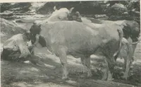 Picture 14 of 32 from Catalogue of an exhibition of contemporary German paintings (1906), leaf 32