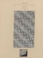 An illustration from Collection of specimens and illustrations of the textile manufactures of India. Second series, 0864-0920 / prepared under the direction of J. Forbes Watson (1874)