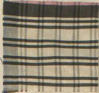 An illustration from Collection of specimens and illustrations of the textile manufactures of India. Second series, 0526-0574 / prepared under the direction of J. Forbes Watson (1873)