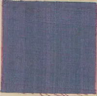 An illustration from Collection of specimens and illustrations of the textile manufactures of India. Second series, 0526-0574 / prepared under the direction of J. Forbes Watson (1873)