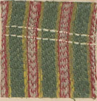 An illustration from Collection of specimens and illustrations of the textile manufactures of India. Second series, 0459-0525 / prepared under the direction of J. Forbes Watson (1873)