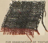 An illustration from Collection of specimens and illustrations of the textile manufactures of India. Second series, 1001-1041 / prepared under the direction of J. Forbes Watson (1874)