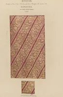 Picture 8 of 78 from Collection of specimens and illustrations of the textile manufactures of India. Second series, 0401-0458 / prepared under the direction of J. Forbes Watson (1873), leaf 10