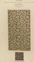 An illustration from Collection of specimens and illustrations of the textile manufactures of India. Second series, 0401-0458 / prepared under the direction of J. Forbes Watson (1873)