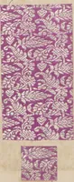 Picture 53 of 78 from Collection of specimens and illustrations of the textile manufactures of India. Second series, 0401-0458 / prepared under the direction of J. Forbes Watson (1873), leaf 42