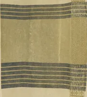 An illustration from Collection of specimens and illustrations of the textile manufactures of India. Second series, 0065-0100 / prepared under the direction of J. Forbes Watson