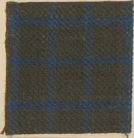 An illustration from Collection of specimens and illustrations of the textile manufactures of India. Second series, 0692-0751 / prepared under the direction of J. Forbes Watson (1874)