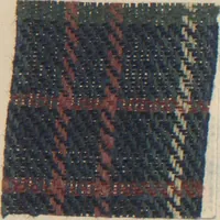 An illustration from Collection of specimens and illustrations of the textile manufactures of India. Second series, 0692-0751 / prepared under the direction of J. Forbes Watson (1874)