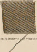 An illustration from Collection of specimens and illustrations of the textile manufactures of India. Second series, 0692-0751 / prepared under the direction of J. Forbes Watson (1874)