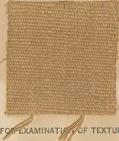 An illustration from Collection of specimens and illustrations of the textile manufactures of India. Second series, 0692-0751 / prepared under the direction of J. Forbes Watson (1874)